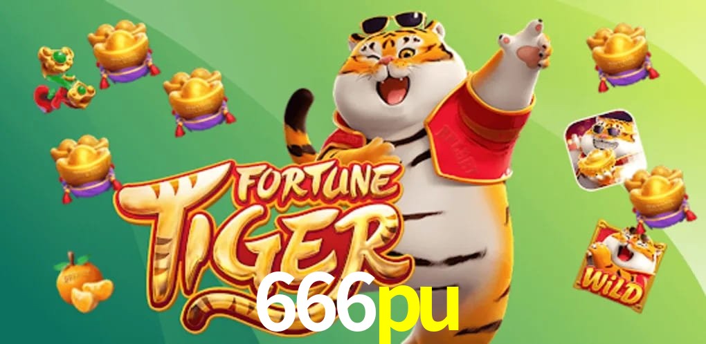 Experiência VIP 666pu