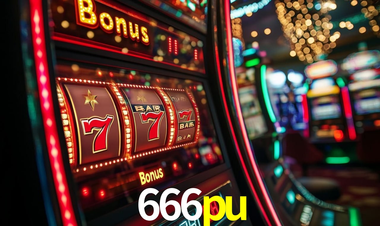 666pu.com