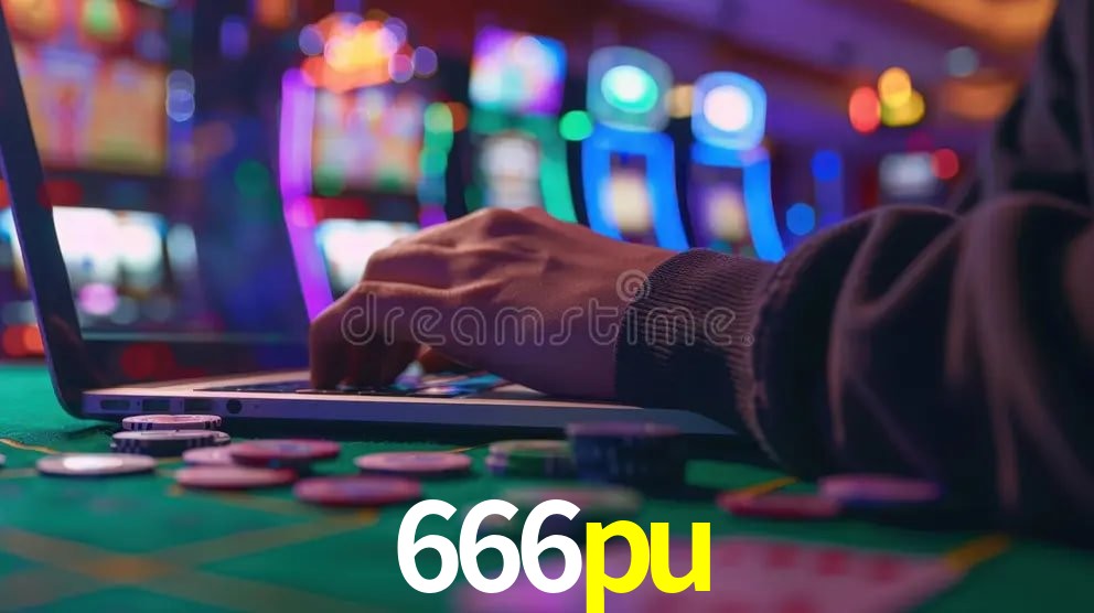 Interface Premium 666pu